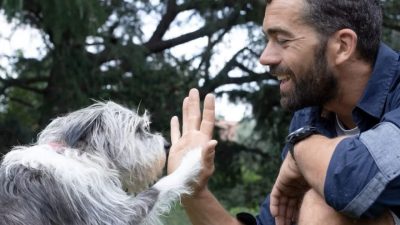 Dans une mer de pentes et de risques, l'IA aide les humains désemparés à retrouver leurs animaux de compagnie perdus
