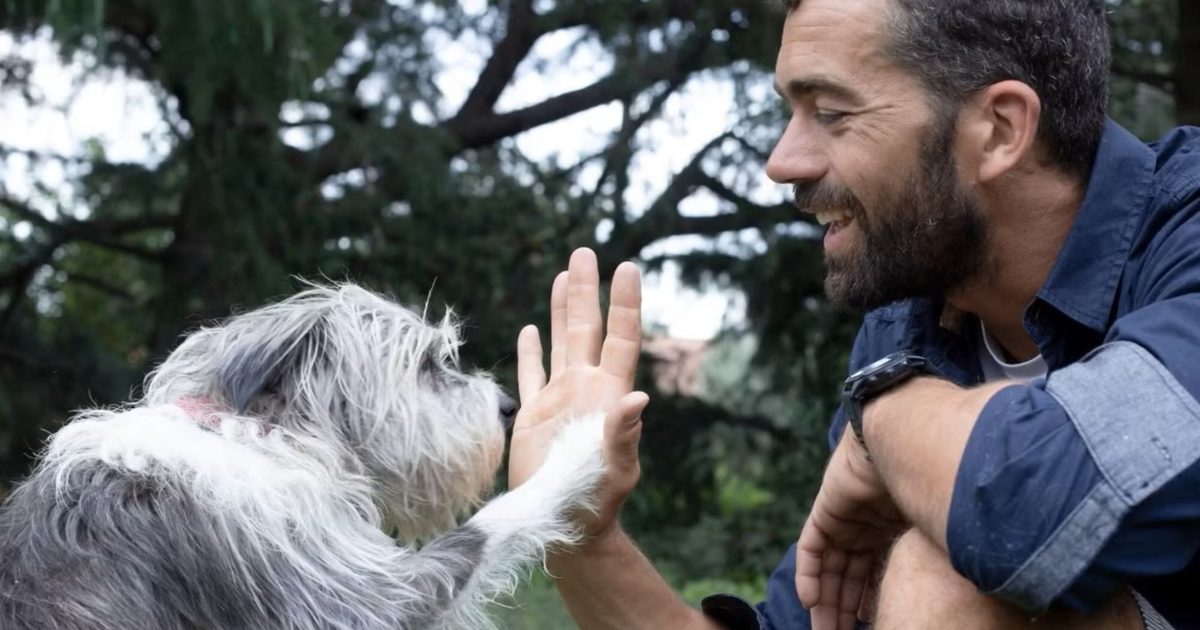 Dans une mer de pentes et de risques, l'IA aide les humains désemparés à retrouver leurs animaux de compagnie perdus