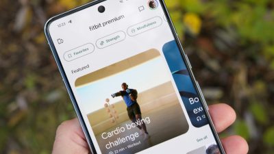 Fitbit’s latest update turns your app into a conversational personal trainer
