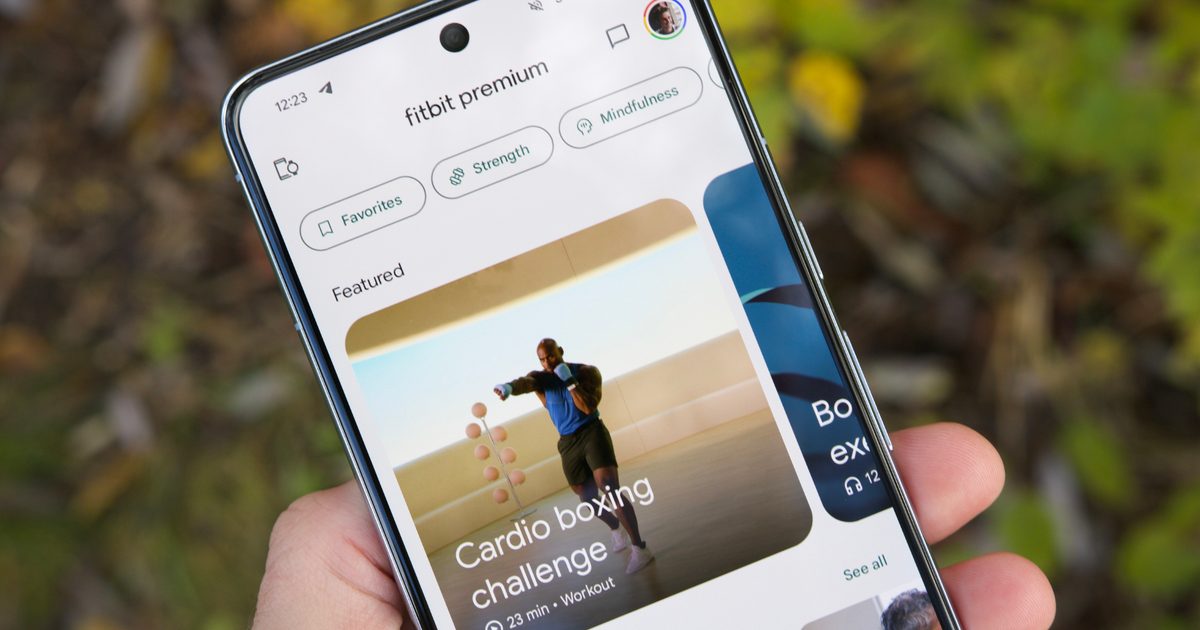 Fitbit’s latest update turns your app into a conversational personal trainer